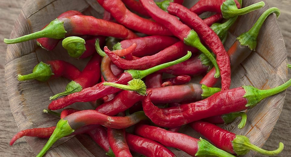 Peperoncini: coltivazione e cura di una pianta in uso in cucina