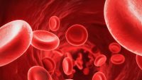 Batteri e virus: Qual è la differenza?