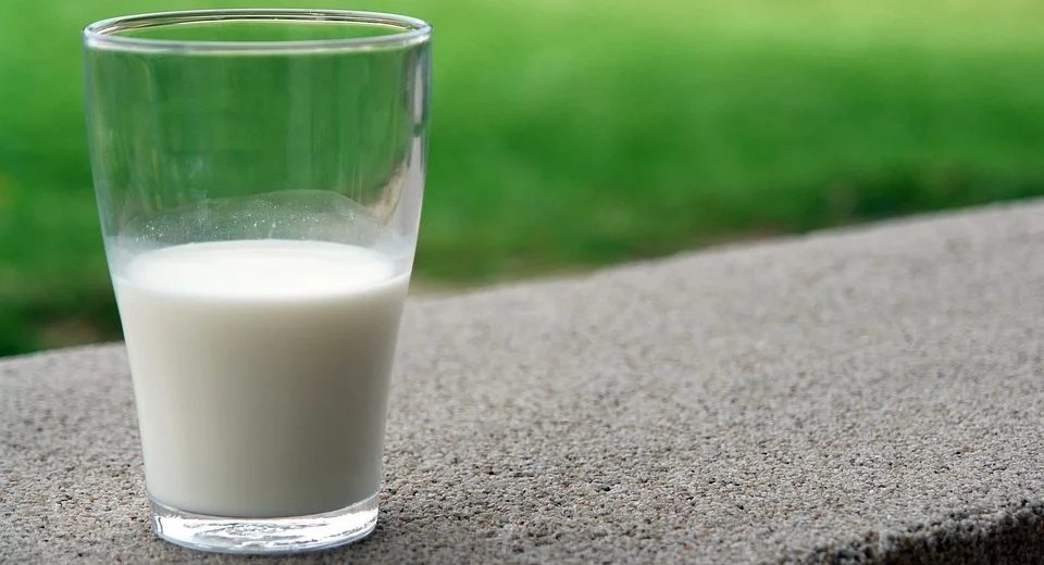Dieta priva di lattosio: chi la deve seguire e cosa mangiare