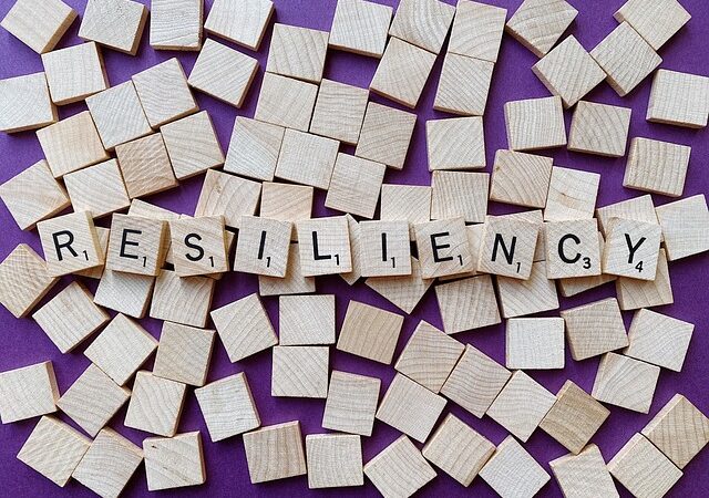 Cosa significa resilienza e come funziona