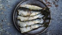 La sardina: cos’è e quali caratteristiche ha