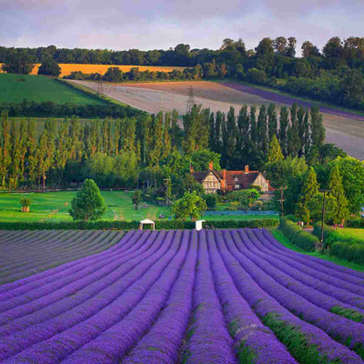 villaggio vicino Londra