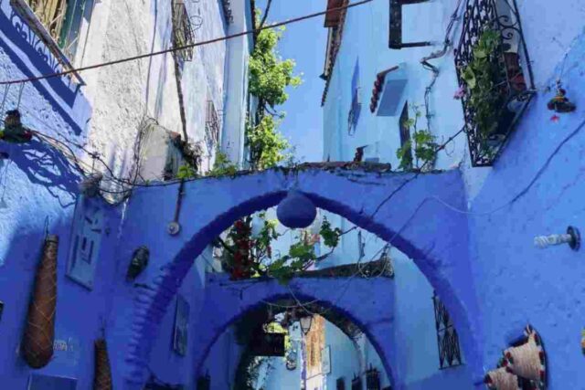 Città dei puffi (www.holdenlab.it) 2026 04 09 (2)