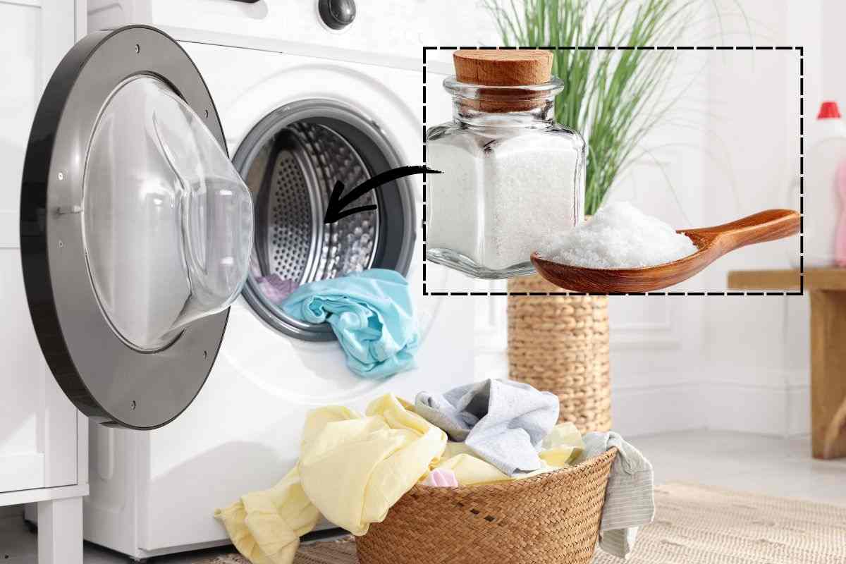 Perché mettere il sale nella lavatrice Holdenlab.it
