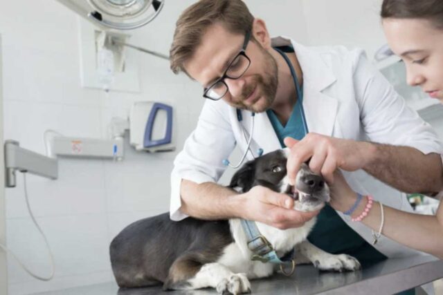 Oltre all’alito cattivo, ci sono altri segnali che meritano attenzione. Un cambiamento nel modo di mangiare